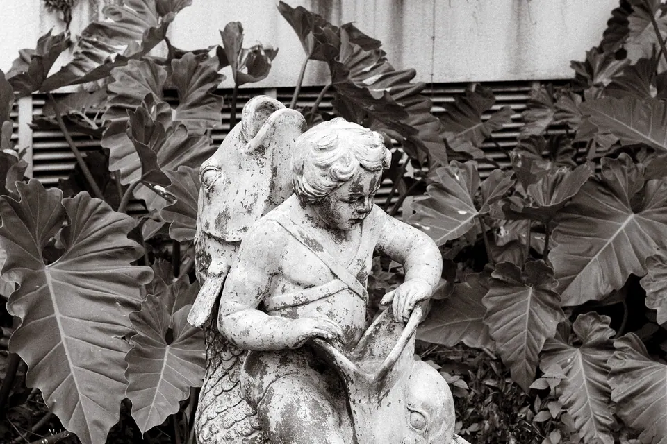 estátua de anjo entre folhagens, em preto e branco